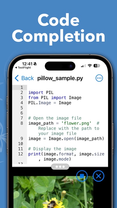 Python script displaying an image on iPhone